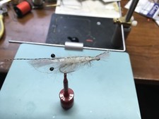 Saltwater Flies EP Grass Shrimp ,redfish ,Bonefish,Striped Bass,Weakfish