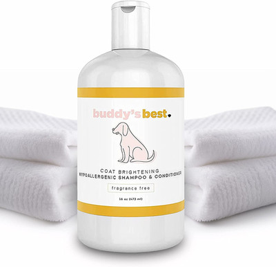 Gentle Oatmeal Dog Shampoo & Conditioner for Dry, Sensitive Skin - 16oz