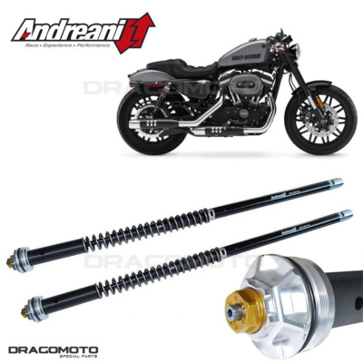 2016-2021 Harley-Davidson Sportster Roadster XL1200CX Cartridge ANDREANI 110/...