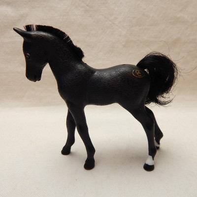 Grand Champion Horse 1988 Filly