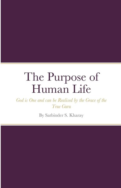 The Purpose Of Human Life Satbinder Kharay Taschenbuch Kartoniert / Broschiert-image