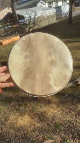 11" Premounted Banjo Goat Skin Hide Head