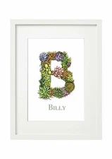 'B' Personalised Illustrated Alphabet Art Print, perfect modern nursery gift 