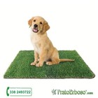 Foto 1 di 4