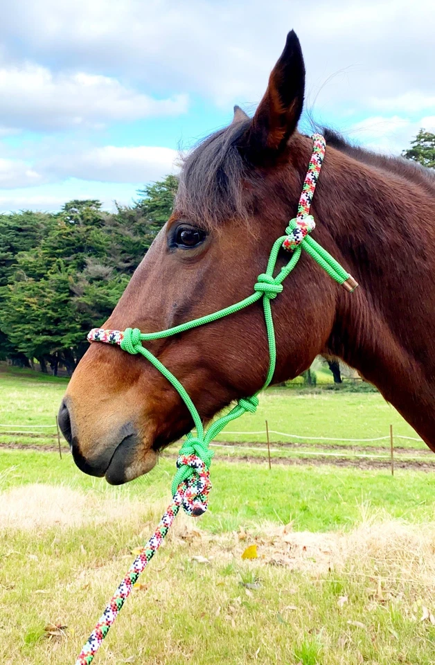 Braided Rope Halter, Rope Headstall 7ft lead Pony Cob Full XFull Various Colours - image 2 of 4