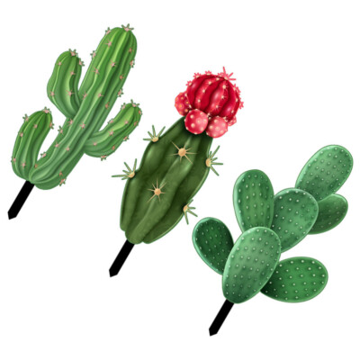  3 Pcs Cactus Lawn Decor Decoration Jardin Card Pathway Driveway
