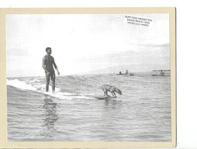SURFING DOG 1950's? WAIKIKI BEACH ''HANGING TEN'' B&W PHOTO ON 8X10'' MAT 