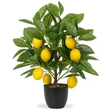 Artificial Potted Lemon Tree 15.7 Inch Black Pot Faux Plant Home Decor Indoor