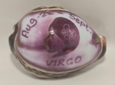 Carved Zodiak 3'' Tiger Cowrie Shell Virgo Aug 22 - Sept 22