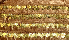 India Arts Gold Velvet Belly Dance Gold Metal Coins Hip Scarf Belt Wrap Costume