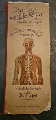#ad Antique German Anatomy Book Der weibliche Körper Dr. Meyer Medical Anatomy —... $79.99