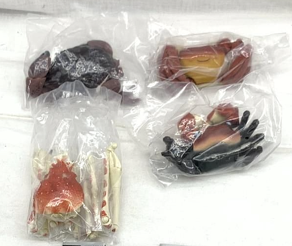 The Diversity of Life on Earth Crab 02 Figure Set of 4 Complete