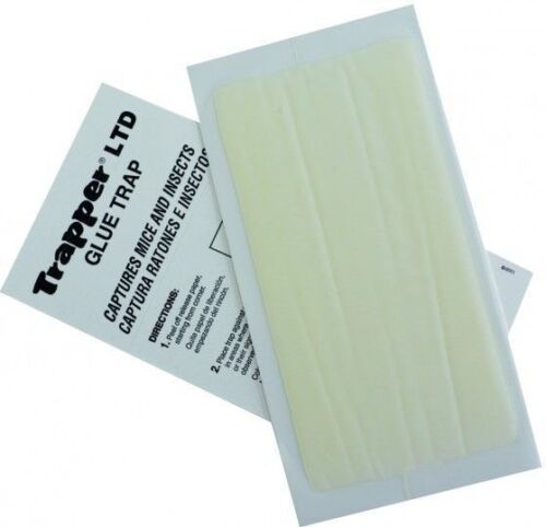 Mouse Insect Glue Board (24 Pack) Mice Roach Insect Glue Traps Mouse Sticky Trap - Picture 1 of 2