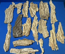 Orchid Air Plant Succulent Bark Mount  Pre-Copper Wired Mixed Sizes 16 Pieces