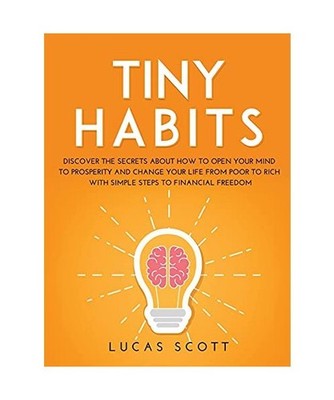 TINY HABITS: Discover the secrets about how to open your mind to Prosperity and 