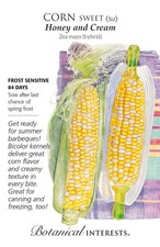 Honey and Cream Sweet Corn Seeds - 10 Grams