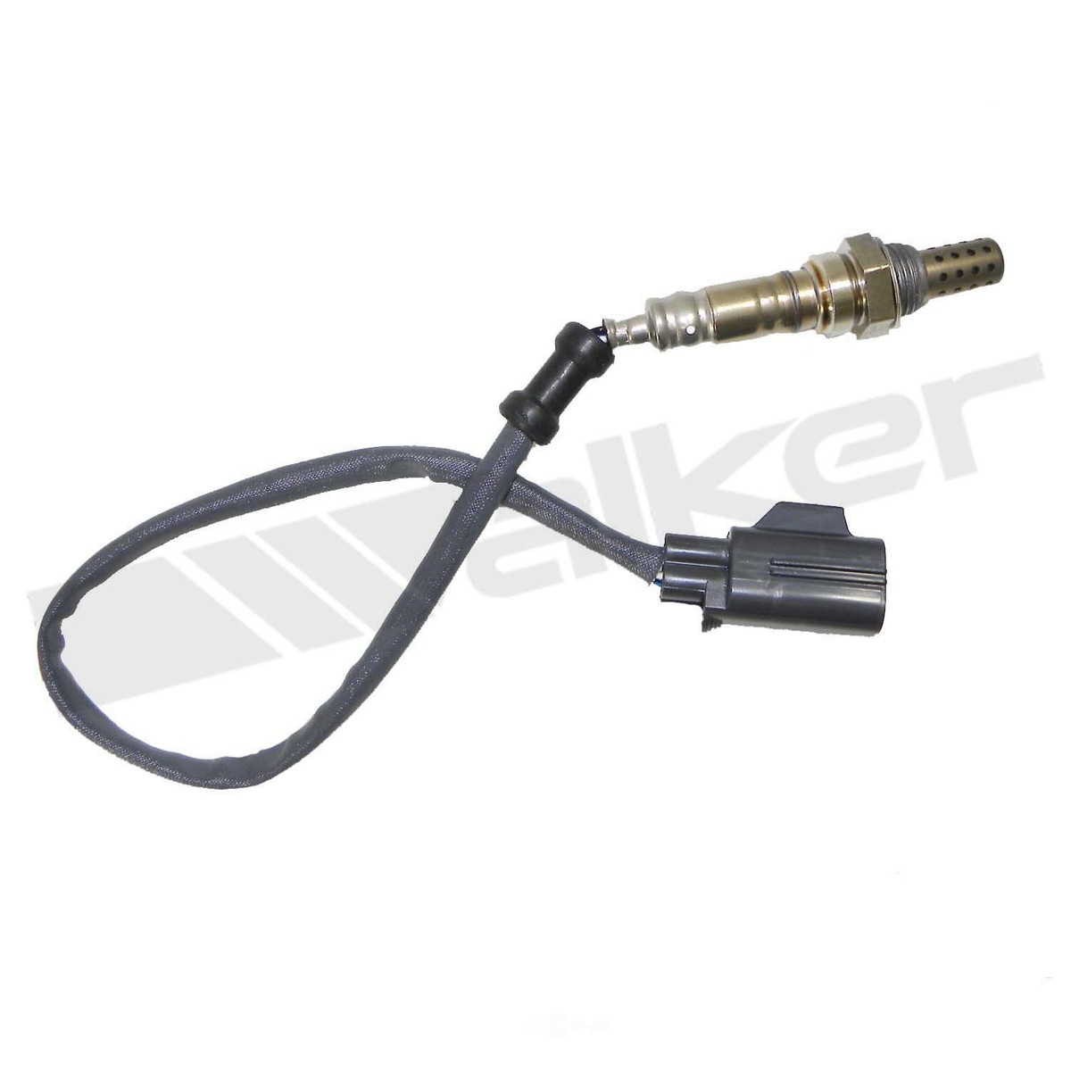 earo789 専用 Maxon BMRA Hose/Cable Assembly (Includes 096002-10, 268141