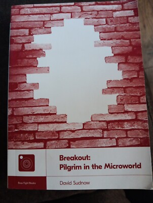 Break Out Pilgrim In The Micro World Paperback David Sudnow