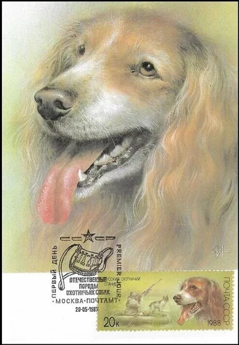 Spaniel Bird Hunting Dog Spaniel Russia Fauna Mint Maxi FDC Card 1988