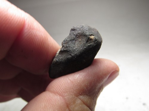 MUSEUM # 12934 SPECIMEN! FRESH CRUSTED WILUNA AUSTRALIAN METEORITE 9.8 GMS - Picture 4 of 8