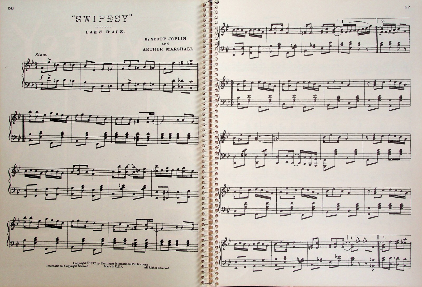 Picture 6 of 7