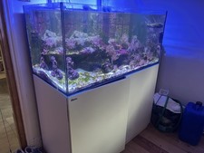 Red Sea Reefer 425XL Marine Setup
