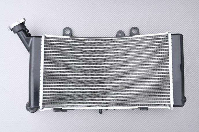Radiateur d'eau moto BMW F900 GSA refroidissement moteur F 900GSA 2024