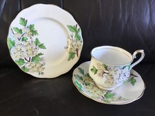 Royal Albert Hawthorn May cup, saucer, plate, early shape , 1960’s hand Painted