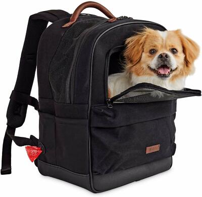 pet carry backpack