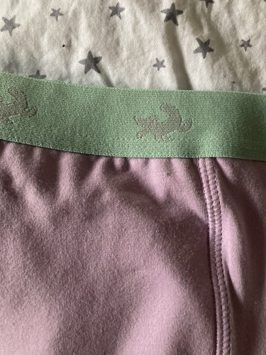 Conni Absorbent Underwear Childrens TACKERS Brief Sz US8-10 Bubblegum SHIPSFREE - Picture 3 of 15