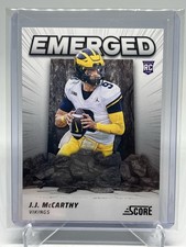 Minnesota Vikings