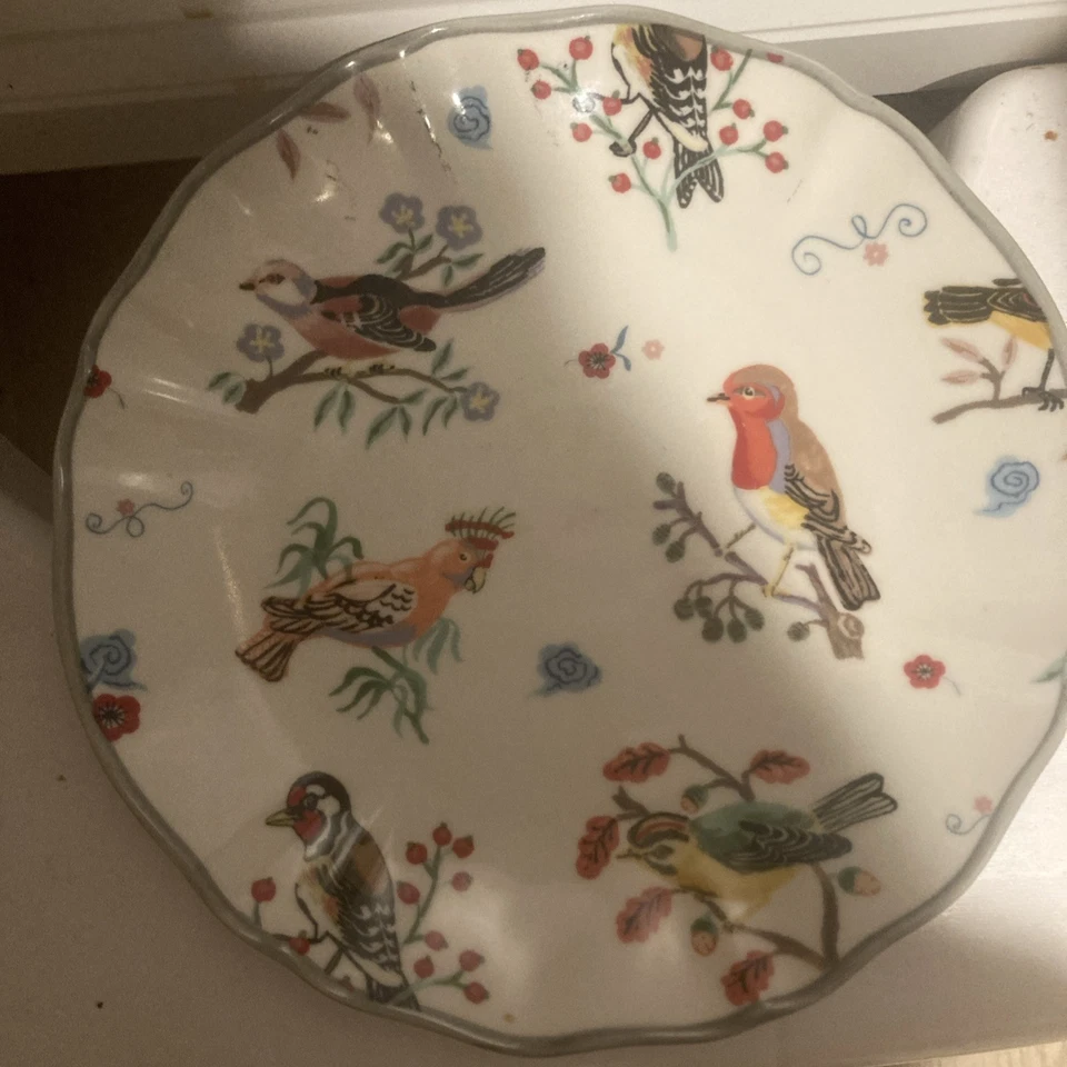 "Plato Anthropologie Nathalie Lete Birds 8"" contorno verde raro"  Foto 2 de 4