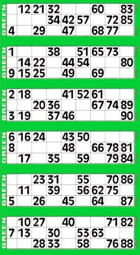 Jumbo Bingo Tickets Pads 6 to View Green | eBay