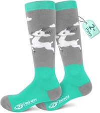 findway Kids Ski Socks, 2 Pairs Thermal Thick Warm Small, Green green-s