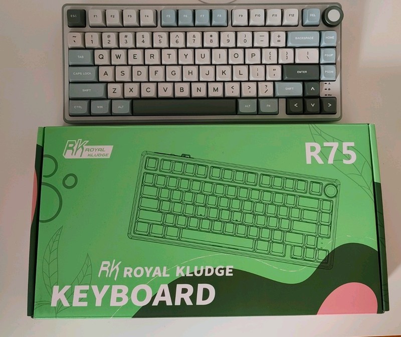 Royal Kludge R75 Mechanical Keyboard 80% Gasket Mount RGB Green Silver Switches