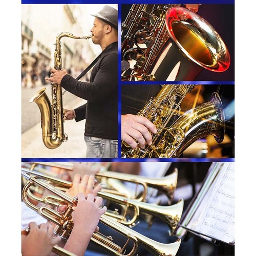 Pour Saxophone Système de Micro Sans Fil avec 16 Canaux Préréglés pour Flexi - Zdjęcie 9 z 14