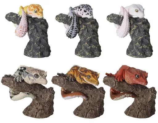 Reptile Mini Figure Set of 6 Illustrated Encyclopedia Creatures Reptiles and Cha