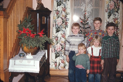 50er Jahre Gruppenfoto Kinder Weihnachtsbaum Vintage 35 mm roter Rand Dia
