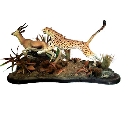 GEPARD GEGEN GAZELLE '' 3D HARZDRUCK ZUSAMMENGEBAUT UND HANDBEMALT