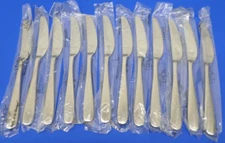 12 - Lenox HAVEN Plain Glossy 18/10 Stainless China Flatware 9" DINNER KNIVES