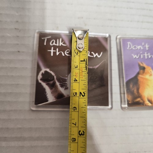 Vtg Funny Fridge Magnets 🧲 Cat Turtle Rabbit 2003 & 2006 - Picture 4 of 7