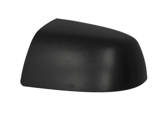 Left BLIC 6103-01-1391392P Housing, exterior mirror for FORD