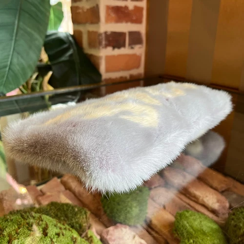 PRADA Lilac Mink Fur Tropical Clutch - Picture 9 of 10