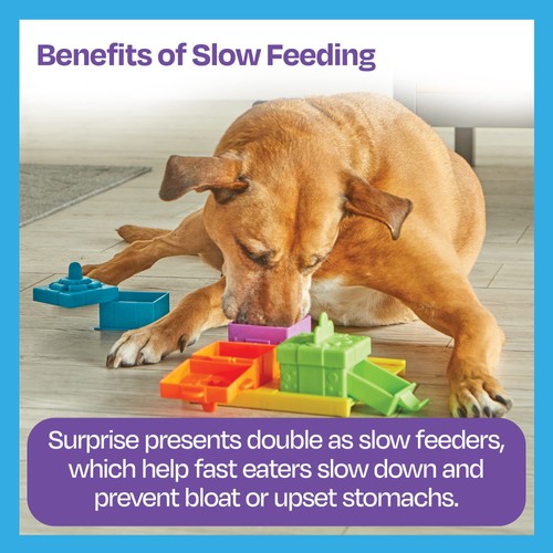 Brightkins Surprise Party Treat Puzzle - Arricchimento Puzzle Giocattoli per Cani, Int... - Foto 6 di 8