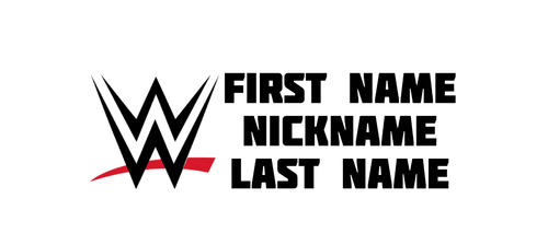 10x 6x 2x Custom WWE Name Sticker WCW Wrestling Holographic WWF WWWF ECW AEW USA