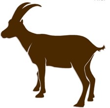 Goat Decal Sticker Vinyl For Car Truck Suv Bumper Wall Laptop Home Decor Large Goat Decal Sticker Vinyl For Car Truck Suv Bumper Wall Laptop Home Decor Large