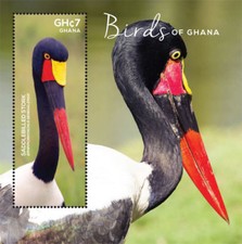 Ghana 2015 - Birds of Ghana - Hoja de estampillas de recuerdo - Scott #2842 - MNH