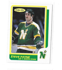 1986-87 O-Pee-Chee #219 Steve Payne NMMT