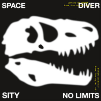 Damiano Von Erckert Space, Diversity, No Limits (Vinyl) 12'' EP