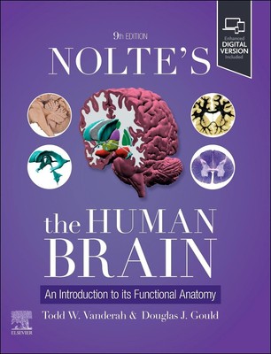 Nolte's The Human Brain Todd W Vanderah